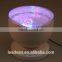 Factory Price Aurora Master Colorful Led Ocean Projector With Audio Speaker                        
                                                Quality Choice