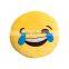 Wholesale PP Cotton Custom Whatsapp Emoji Pillow                        
                                                Quality Choice