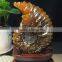 Natural snail fossil ammonite fossils for gifts and decoration