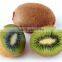 Fresh qinmei kiwi with best price for sale