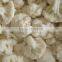 IQF Frozen Cauliflower With Good Quality for Sale