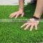 Cheap Garden Use Artificial Turf Grass For Sale