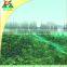 High Quality Plastic Net Cheap Anti Bird Net