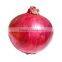 fresh onion exporters