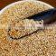 Natural White Sesame Seeds suppliers
