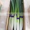 High quality Fresh long onion/best price shallot