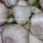 Forwell high quality Garlic New Season