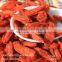 High quality grown in Ningxia organic dried goji berry