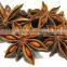 High quality Vietnamese green, dried star anise in bulk by HAGIMEX
