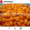IQFprice for frozen Apricot halves china