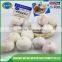 Chinese bulk natural solo garlic for sale