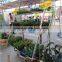 A12 Garden center flower pot plant display trolley