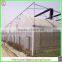 Hot Sale Single-span/multi-span Plastic Film Greenhouse for Agriculture