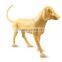 Lifelike dog mannequin for display