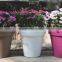 hydroponic Strong and durable fresh flow pots