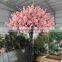 SJ1501036 Factory outlets fiber cherry tree/pink cherry tree