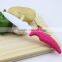 5 Inch Ceramic Vegetable Knife for Gift