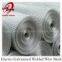 Small opening wire mesh(factory price)