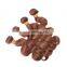 Wholesale hair weave #30 color , human hair
