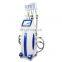 4 Handles Weight Loss Fat Freezing Home Slimming  Beauty Machine For Double Chin