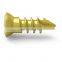 High Quality China Manufacturer Orthopedic Implant Posterior Cervical Self Drilling/Tapping  Screw