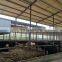 Metal Farm Design Steel Structure Prefabricated Cattle Shed