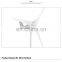 Wind Turbine 100W 200W 300W 400W 500W 12V/24V/48V Horizontal Shaft Generator Small Wind Turbine Price