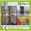 Strawberry dryer/dehydrator food processing machinery industrial food dehydrator for fruit & vegetable