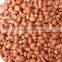 best quality red skin peanut for sale