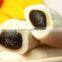 Automatic mochi with ice cream filled Making Encrusting Machine