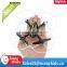 SYMA X11C Mini Drone With 2MP HD Camera 2.4G RC Mini Quadcopter