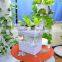 MIni Aquaponicals Hydroponics Aquaponics system for greenhouse/indoor planting system/garden decoration/