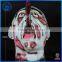 Halloween Horror Scary Haunted House Props Entire Toy Terrorist Who Decapitated