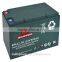 Rechargeable electric bike 12V 24V 36V 20AH green power ebike battery