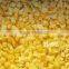 IQF Yellow Pepper Diced with good quality for sale