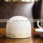 Personal/car/office/portable wholesale aromatherapy diffuser,Fan scent diffuser