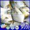 Fresh Frozen White Silver Pomfret Fish