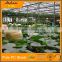 twin wall pc polycarbonate cover type agricultural greenhouse