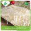 Edible fresh enoki mushrooms
