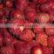 FROZEN SWEET STRAWBERRY