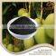 Anti-Hard Water Super Potassium Humate with 15% Fulvic Acid, 100% Water Solubility