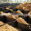 Honeycomb Structure HDPE Smooth Black Geocell for Slope Protection
