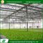Wholesale eco-friendly venlo structure glass green houses for tomatoes