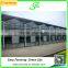 Modern agricultural equipments glass commercial greenhouses