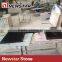 Newstar Chinese Zimbabwe Black Granite Countertop for Sale