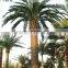 Outdoor indoor artificial coconut palm tree UV proof high quality high simulation fake palm tree