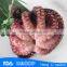 HL089 healthy fresh octopus wholesale