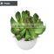Varied artificial succulents wholesale artificial mini succulents potted
