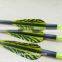 Striped Plastic Vanes Carbon Arrows with pin nocks