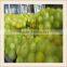 50*80cm, 35g red 50kg pp bags for potato mesh bag
